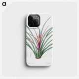 3-37_The-Lilies_phone