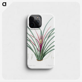 3-37_The-Lilies_phone