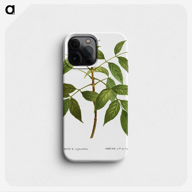 3-37_Treatise-on-Trees-and-Shrubs_phone