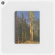 3-38_Albert-Bierstadt_memo