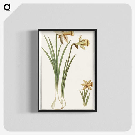 3-38_Anselmus-Boetius-de-Boodt_blk-crop