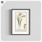 3-38_Anselmus-Boetius-de-Boodt_blk