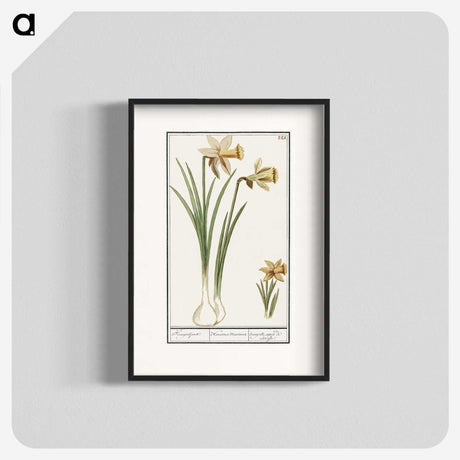 3-38_Anselmus-Boetius-de-Boodt_blk