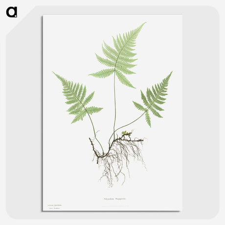3-38_Cleveland-Museum-of-Art_picture-crop