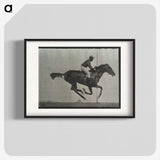 3-38_Eadweard-Muybridge_blk