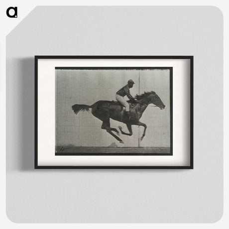 3-38_Eadweard-Muybridge_blk