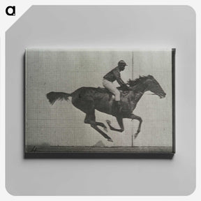 3-38_Eadweard-Muybridge_canvas