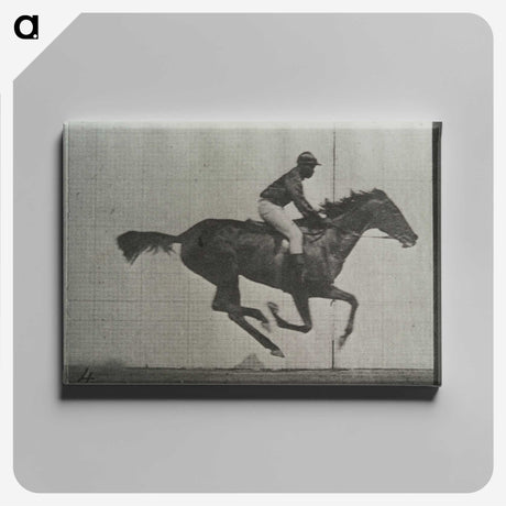 3-38_Eadweard-Muybridge_canvas