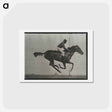 アートポストカード-Galloping Horse and Rider
 - エドワード マイブリッジ Postcard.