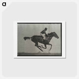 アートポストカード-Galloping Horse and Rider
 - エドワード マイブリッジ Postcard.