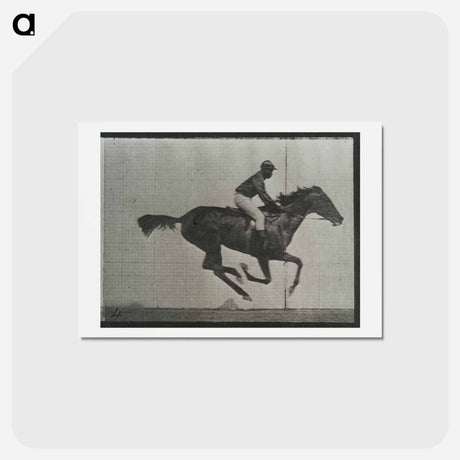 アートポストカード-Galloping Horse and Rider
 - エドワード マイブリッジ Postcard.