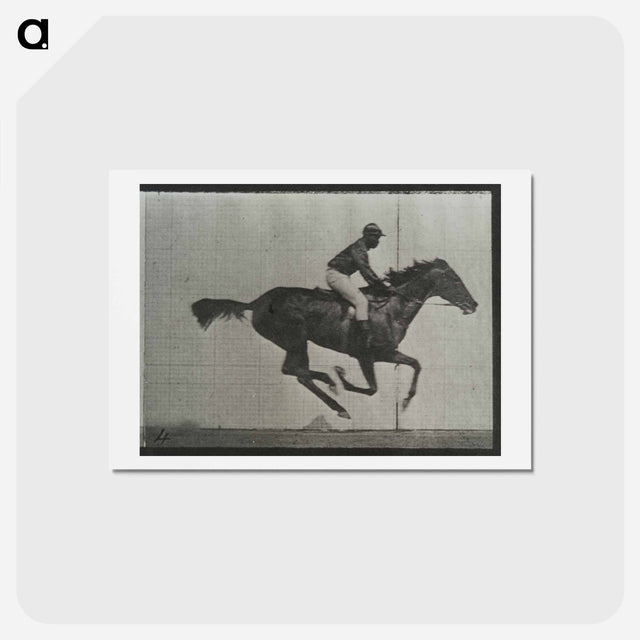 アートポストカード-Galloping Horse and Rider
 - エドワード マイブリッジ Postcard.