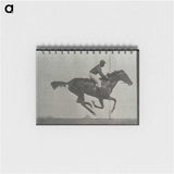 3-38_Eadweard-Muybridge_memo