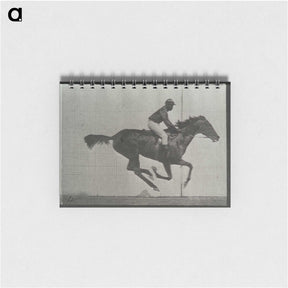 3-38_Eadweard-Muybridge_memo