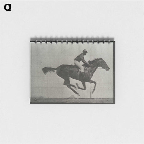 3-38_Eadweard-Muybridge_memo