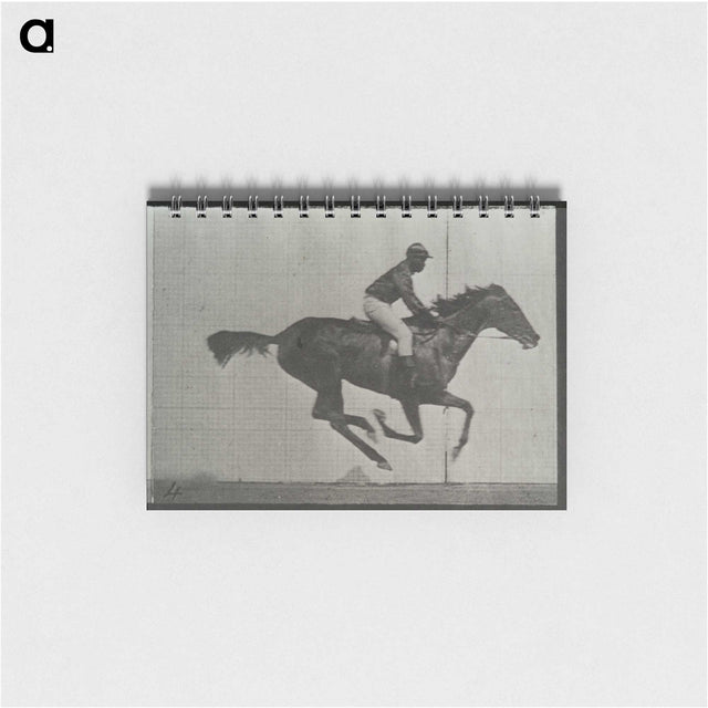 3-38_Eadweard-Muybridge_memo
