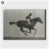 3-38_Eadweard-Muybridge_picture-crop