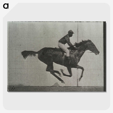 3-38_Eadweard-Muybridge_picture-crop