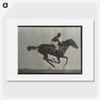 3-38_Eadweard-Muybridge_picture