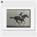 3-38_Eadweard-Muybridge_picture