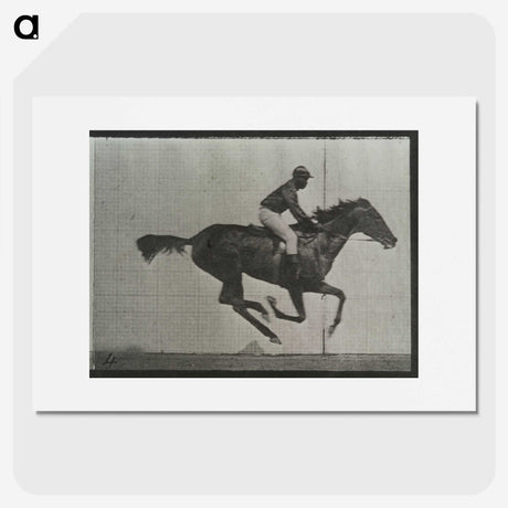 3-38_Eadweard-Muybridge_picture