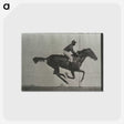 3-38_Eadweard-Muybridge_postcard