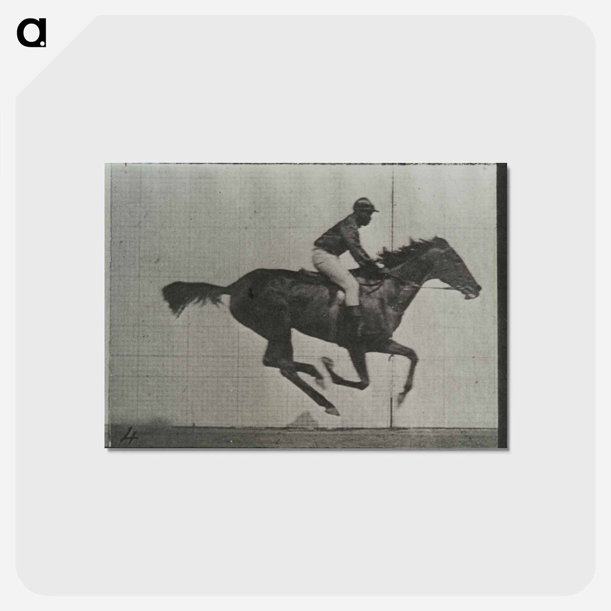 アートポストカード-Galloping Horse and Rider
 - エドワード マイブリッジ Postcard.
