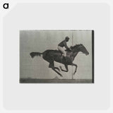 アートポストカード-Galloping Horse and Rider
 - エドワード マイブリッジ Postcard.