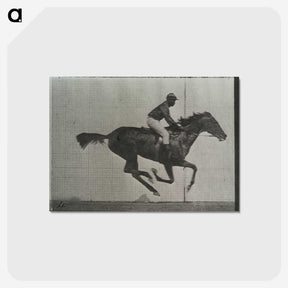 3-38_Eadweard-Muybridge_postcard