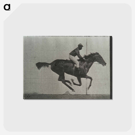 アートポストカード-Galloping Horse and Rider
 - エドワード マイブリッジ Postcard.