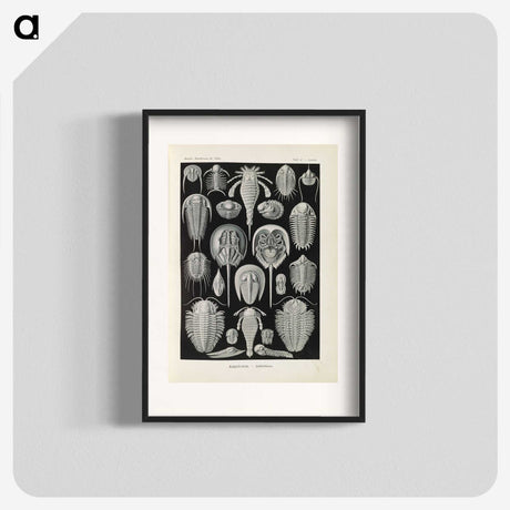 3-38_Ernst-Haeckel_blk