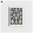 3-38_Ernst-Haeckel_memo