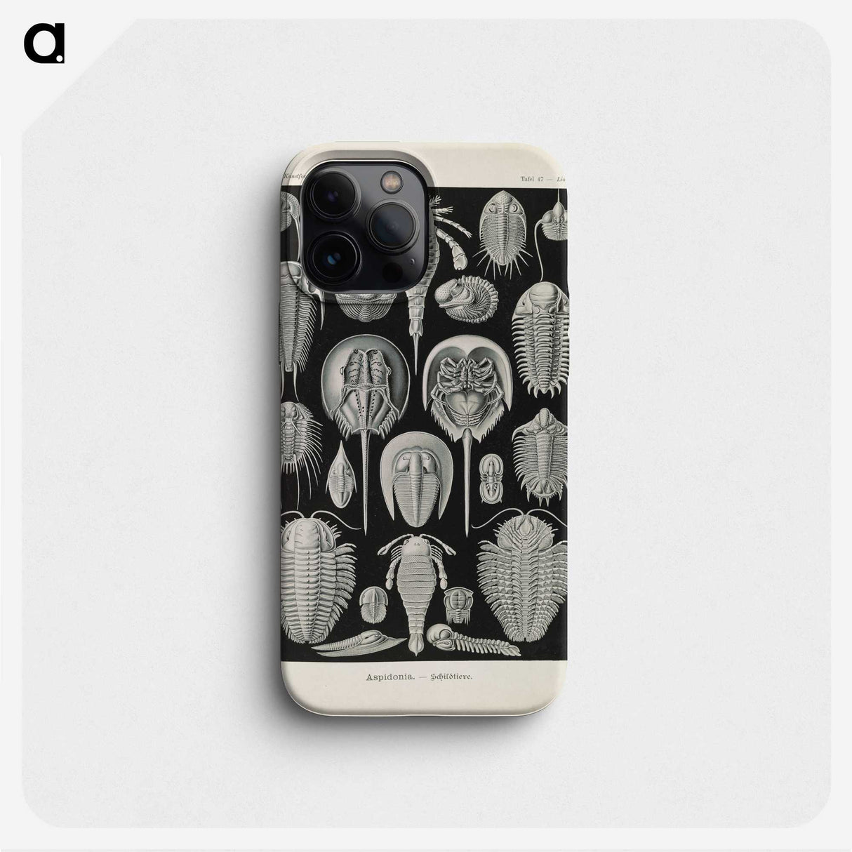 3-38_Ernst-Haeckel_phone