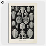 3-38_Ernst-Haeckel_picture-crop