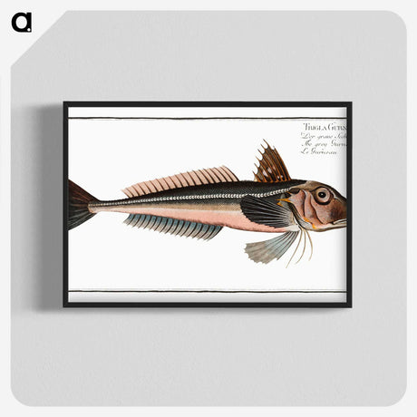 3-38_Ichtyologie-ou-Histoire-naturelle_blk-crop