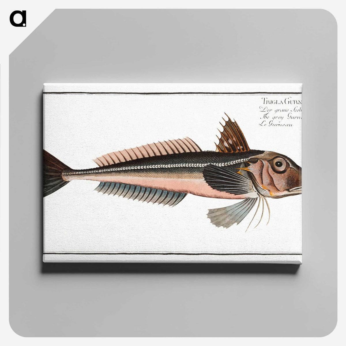 3-38_Ichtyologie-ou-Histoire-naturelle_canvas