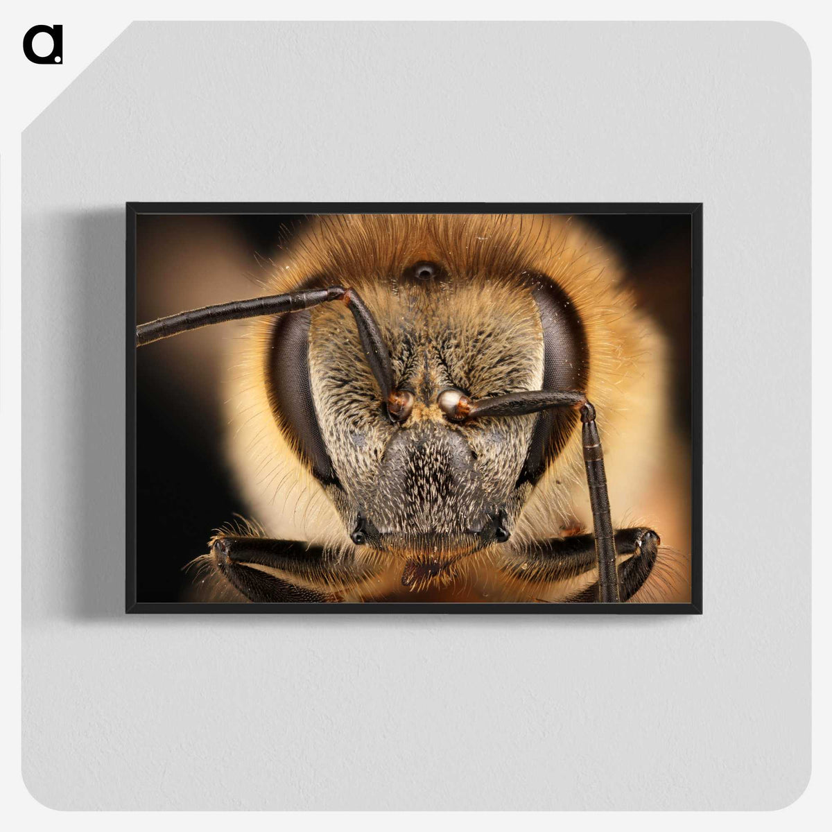 3-38_Insects-Unlocked-Project_blk-crop