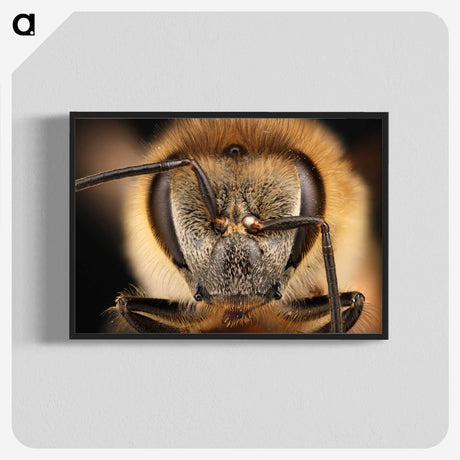 3-38_Insects-Unlocked-Project_blk-crop
