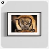 3-38_Insects-Unlocked-Project_blk