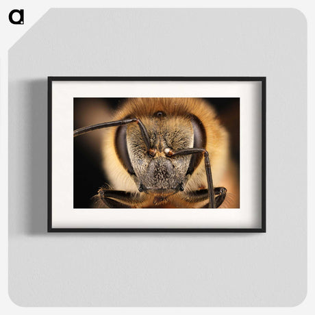 3-38_Insects-Unlocked-Project_blk
