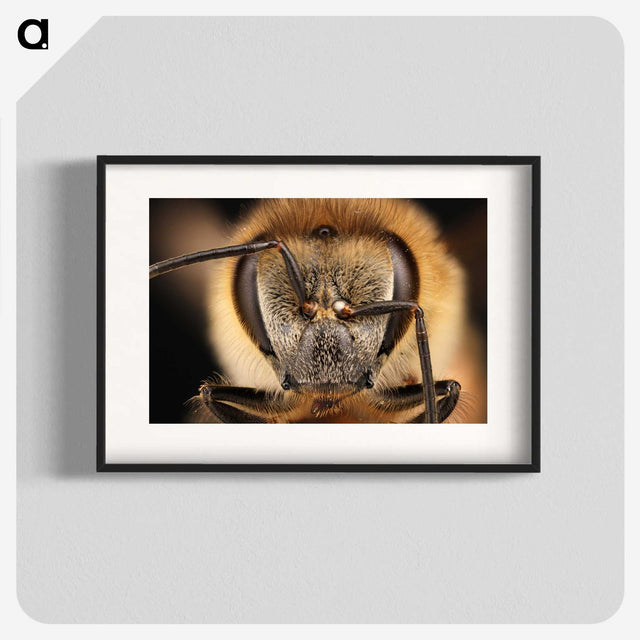 3-38_Insects-Unlocked-Project_blk