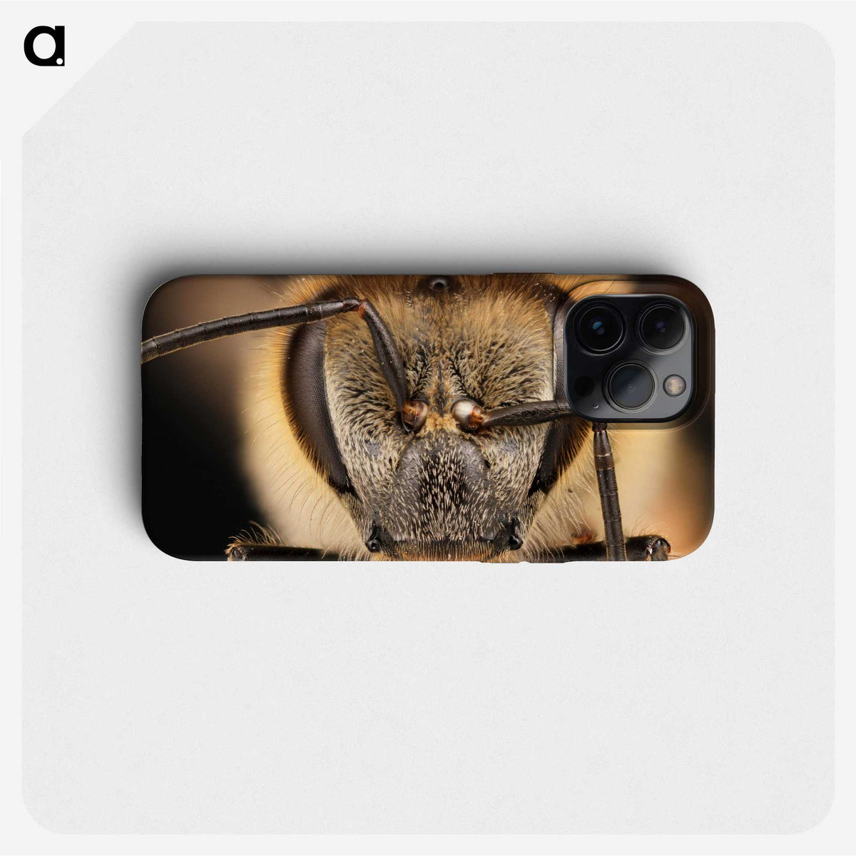 3-38_Insects-Unlocked-Project_phone