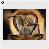 3-38_Insects-Unlocked-Project_picture-crop