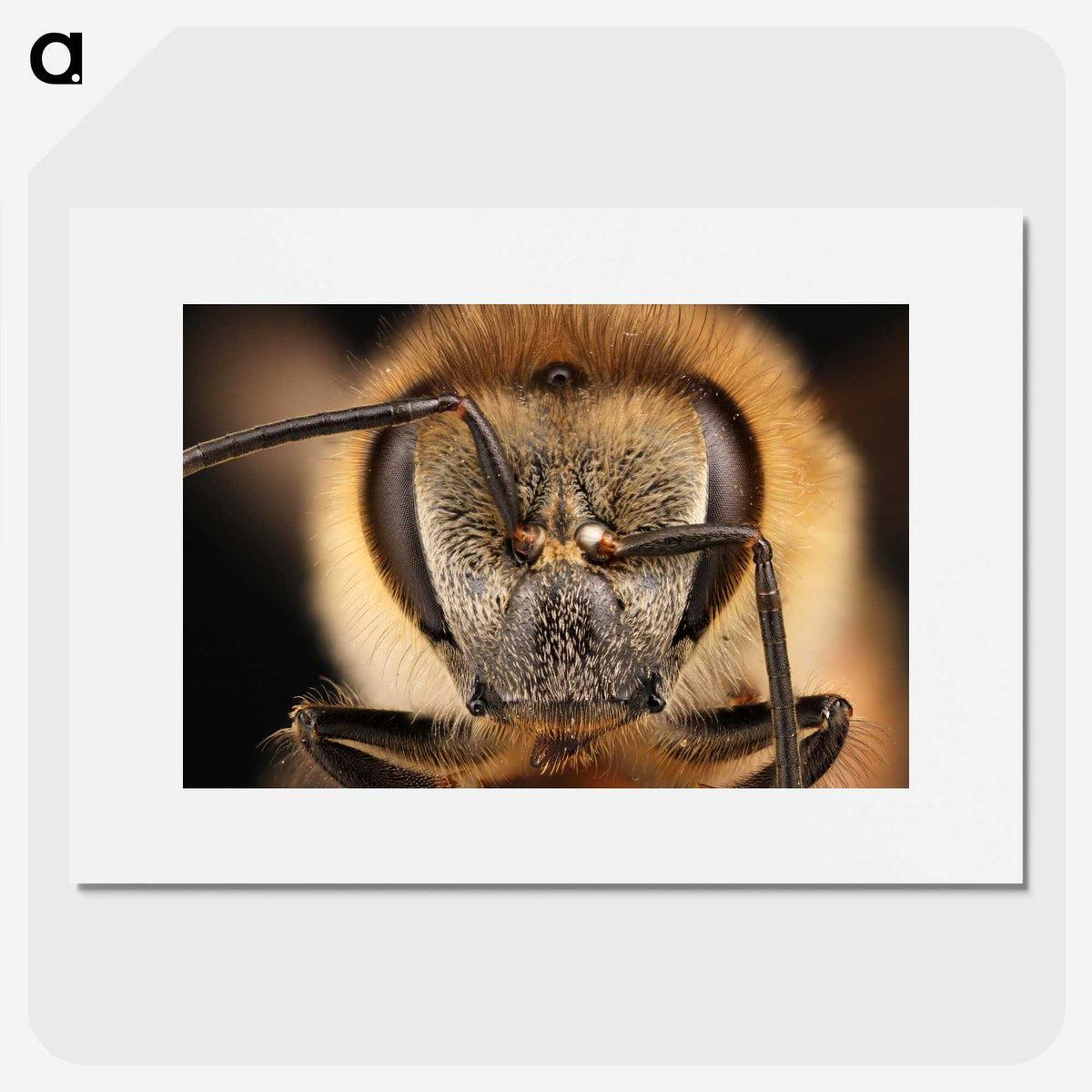 3-38_Insects-Unlocked-Project_picture