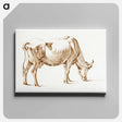 アートパネル-Grazing cow - ジャン ベルナール Canvas.