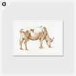 アートポストカード-Grazing cow - ジャン ベルナール Postcard.