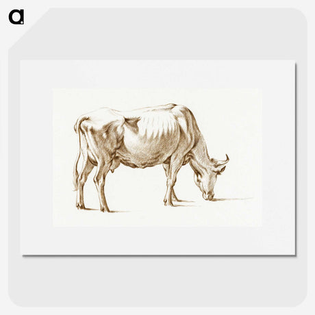 3-38_Jean-Bernard_picture