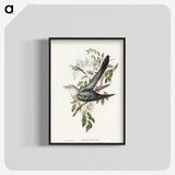 3-38_John-Gould_blk-crop