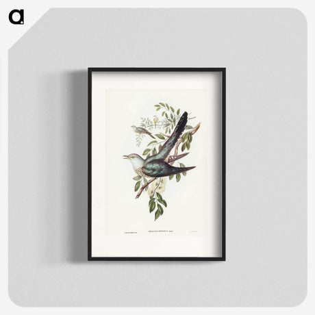 3-38_John-Gould_blk