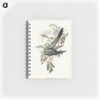 3-38_John-Gould_memo